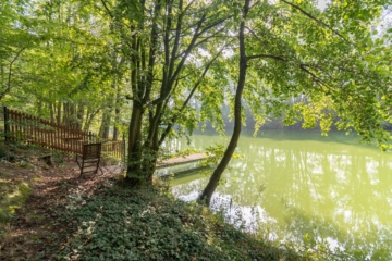 Ferienhaus in Colditz nahe Leipzig und Dresden // Wassergrundstück am See, 04680 Colditz, Haus